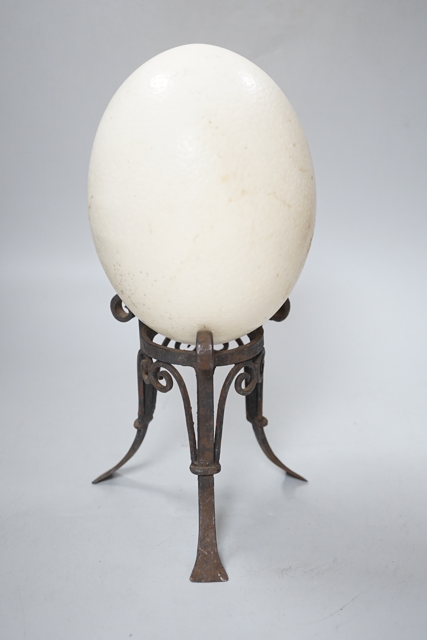 An ostrich egg on wrought iron stand, 29cm